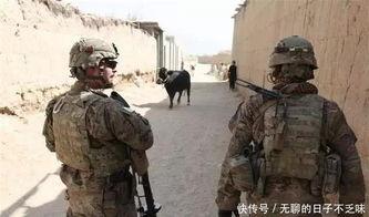 驻日韩美军罪行视频播放,真相与反思